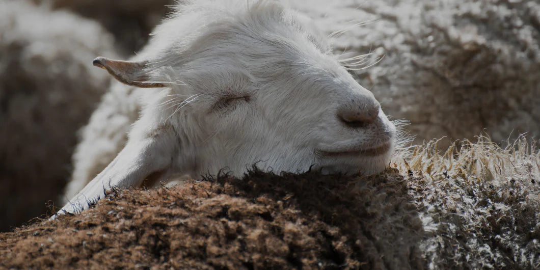 slider image slider_item_TkVXXi