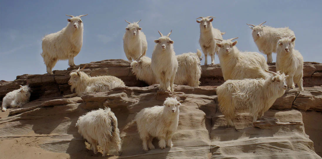 slider image slider_item_rewbFW