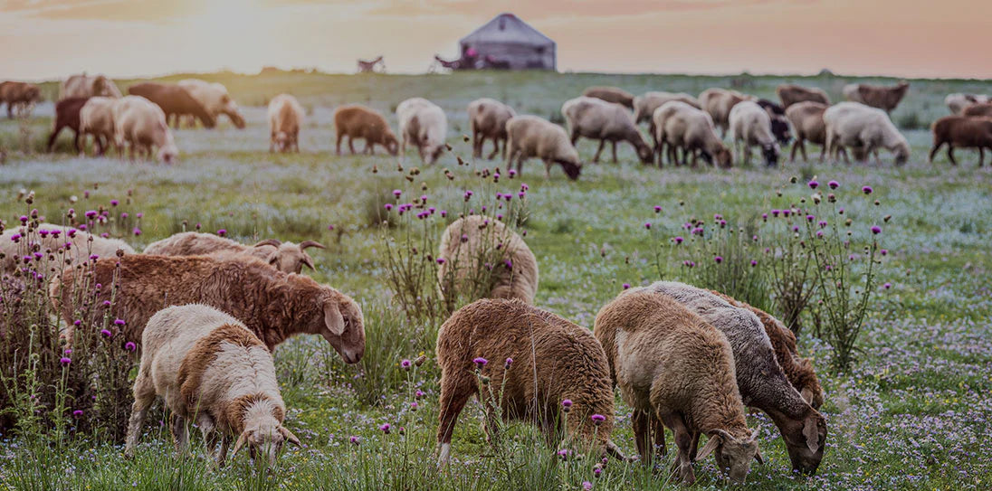 slider image slider_item_bbgw77